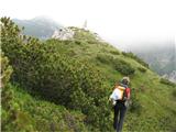 Forca di Dogna in Cima Robinia tik pod vrhom Cime Robinie